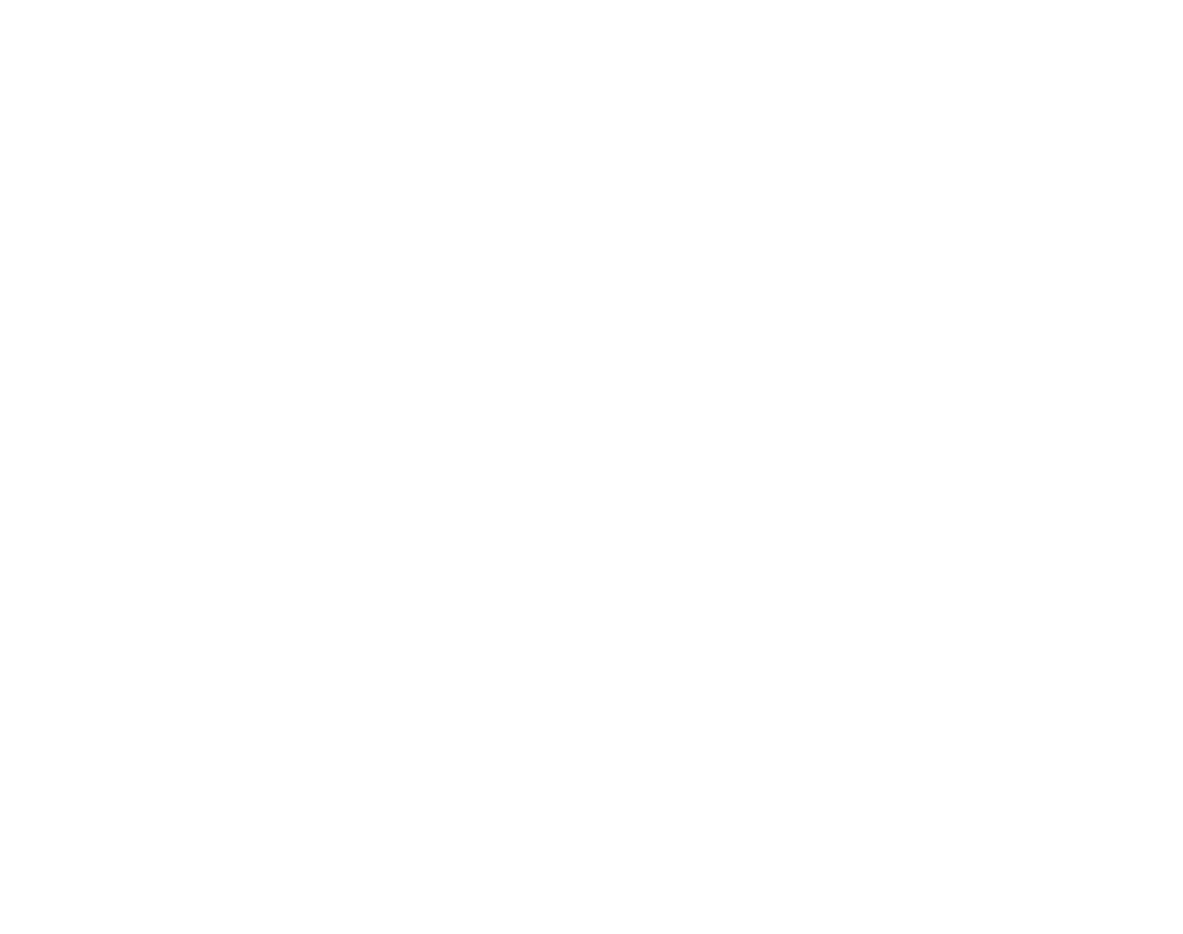 FS LOGO
